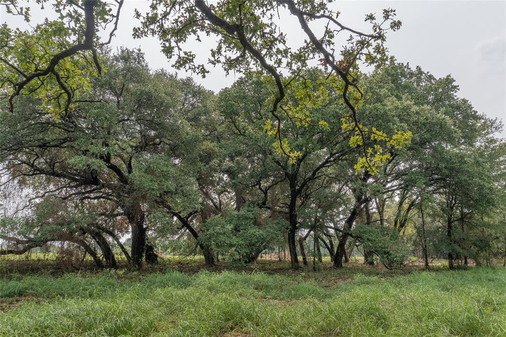 Shiloh Vista Ranch - Land