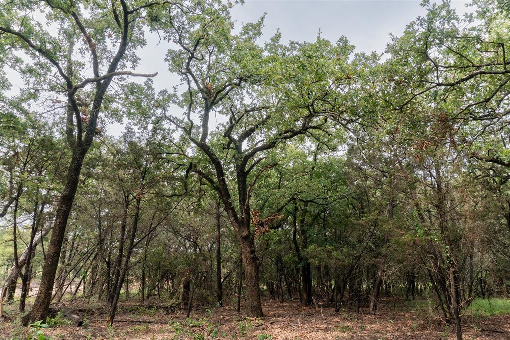 Shiloh Vista Ranch - Land