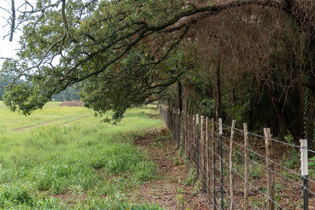 Shiloh Vista Ranch - Land