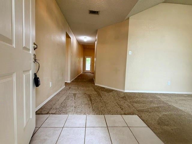 12333 Silver Mist Trail