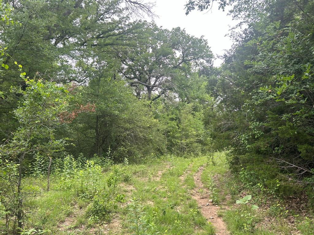 Hwy 16 N Hwy 337 Street