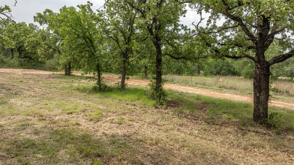 2850 County Road 434