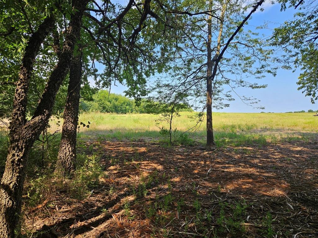 The Ranches of Harvest Hill - Land
