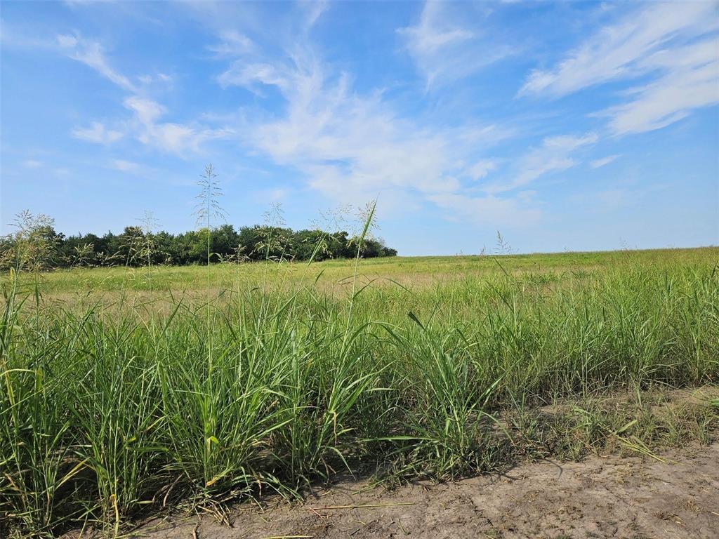 The Ranches of Harvest Hill - Land