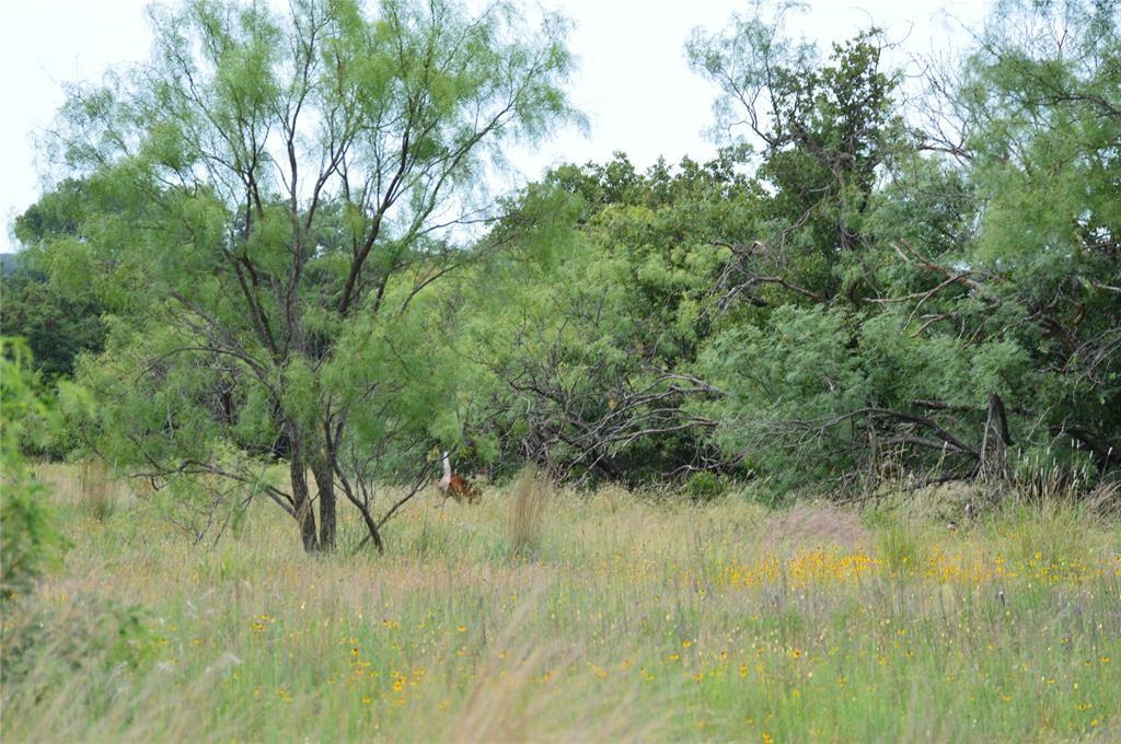 C H Obryant 598 - Farm