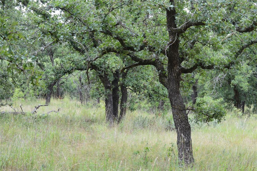 C H Obryant 598 - Farm