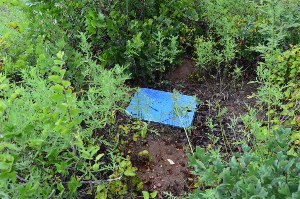 C H Obryant 598 - Farm