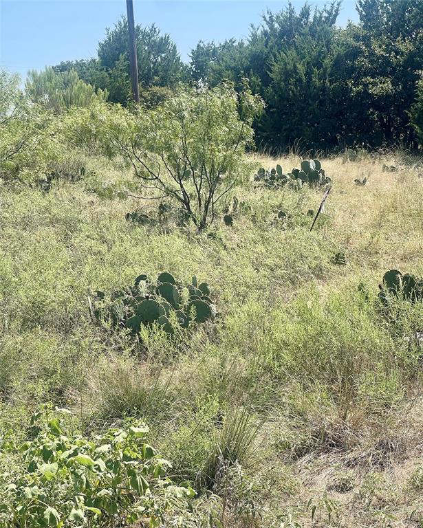 Lot 43 Turnberry Loop