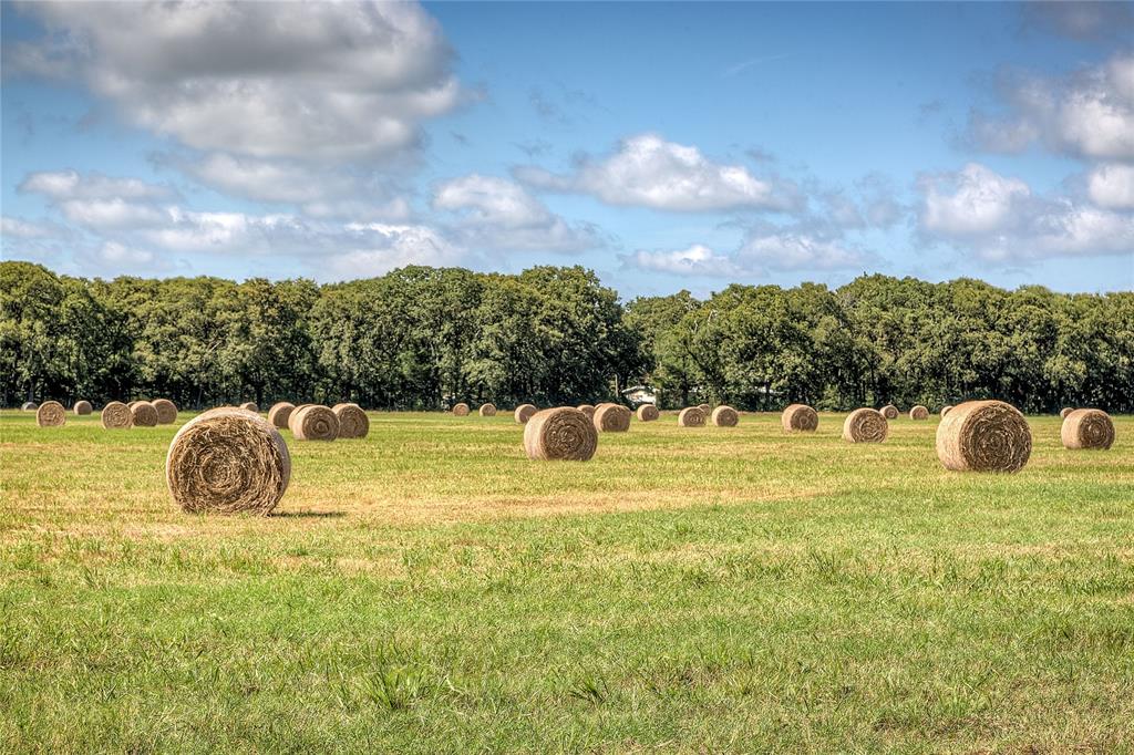 Lot 2 County Road 120