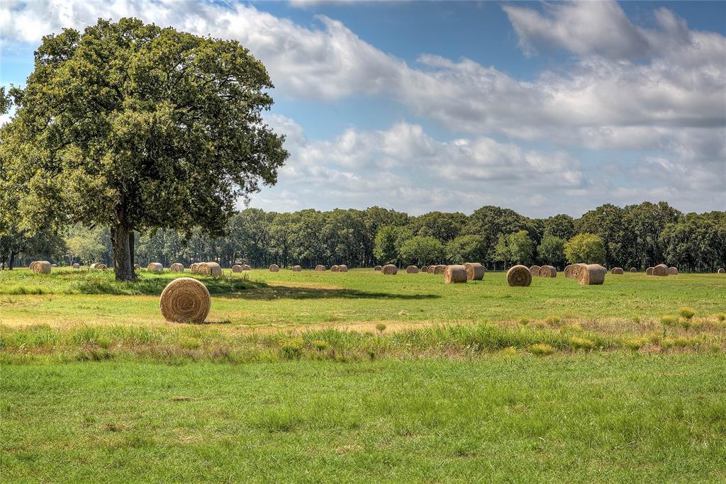 Lot 2 County Road 120