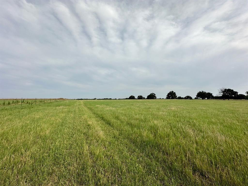 240 Acres William Scarbrough Survey - Farm