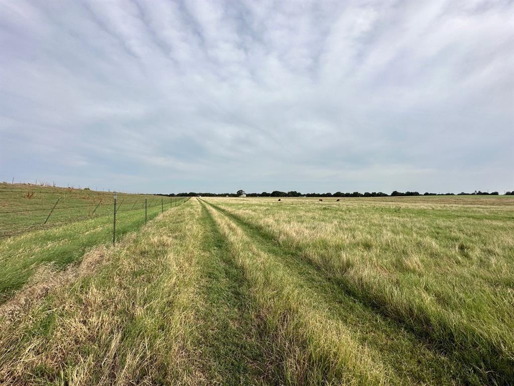 240 Acres William Scarbrough Survey - Farm