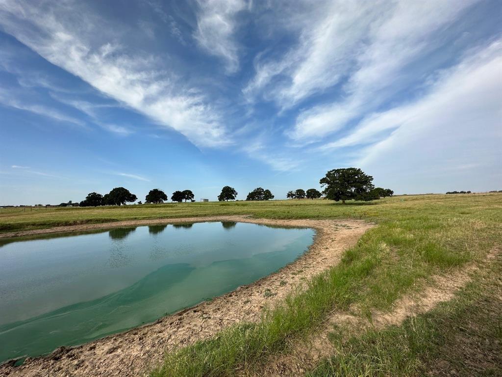 240 Acres William Scarbrough Survey - Farm