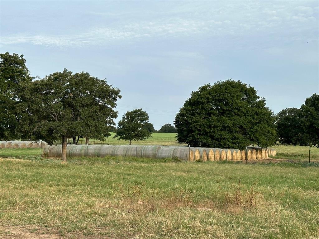 240 Acres William Scarbrough Survey - Farm