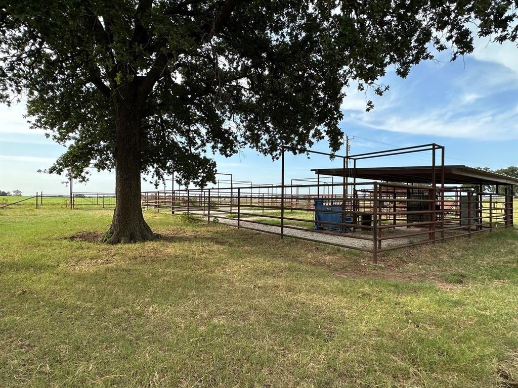 240 Acres William Scarbrough Survey - Farm