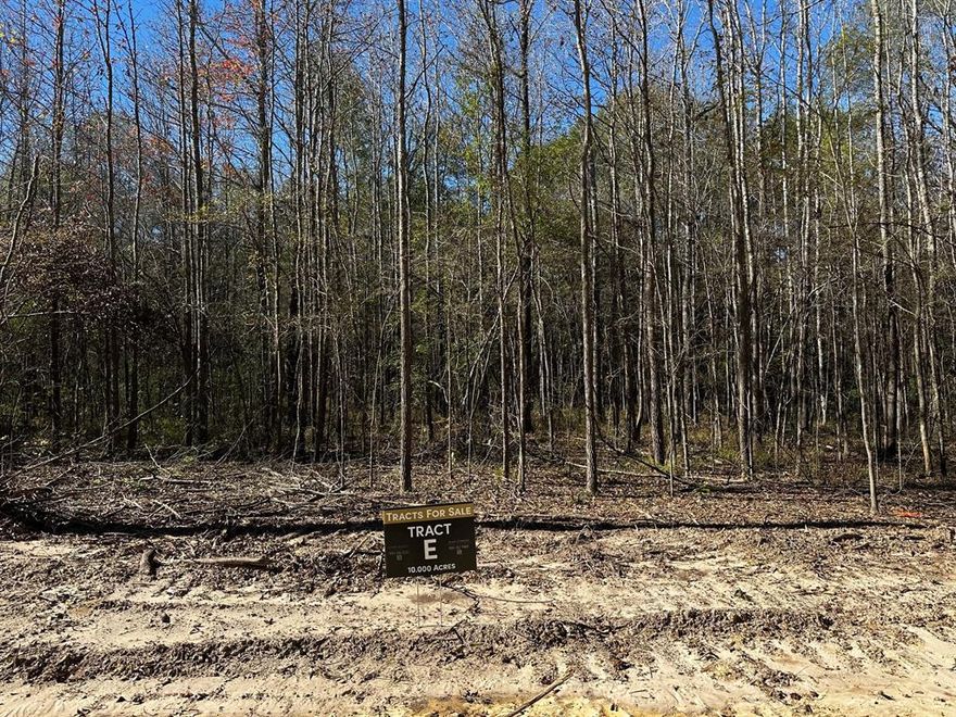 Welcome to Van, Tx! We are offering various wooded acreage Tracts for sale in this beautiful area. These Tracts are conveniently located just 5 minutes away from Interstate 20, providing easy access to neighboring cities and attractions.

These Tracts are ready for purchase and to build on, making them an ideal investment opportunity for those looking to create their dream property. Whether you're planning to build a residential home or start a small farm, these Tracts offer the perfect canvas for your vision.

Imagine the possibilities of owning your own piece of land in Van, Tx. With its scenic landscapes, peaceful surroundings, and close proximity to major transportation routes, this location offers both convenience and serenity.

Don't miss out on this opportunity to acquire a Tract of land in Van, Tx.