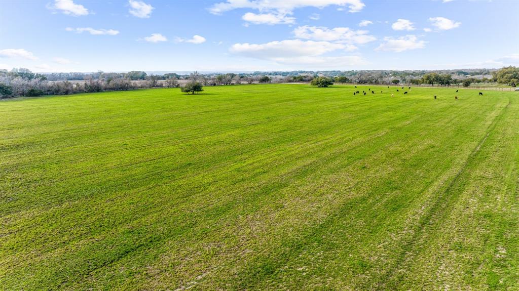 DISNEY RICHARD - Farm