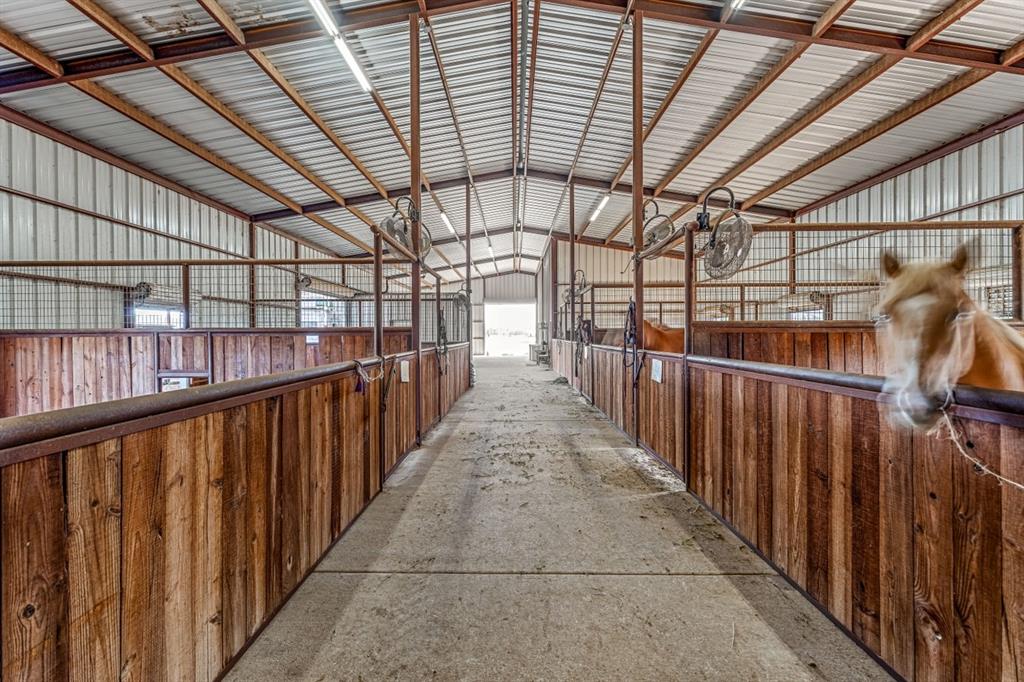 DISNEY RICHARD - Farm