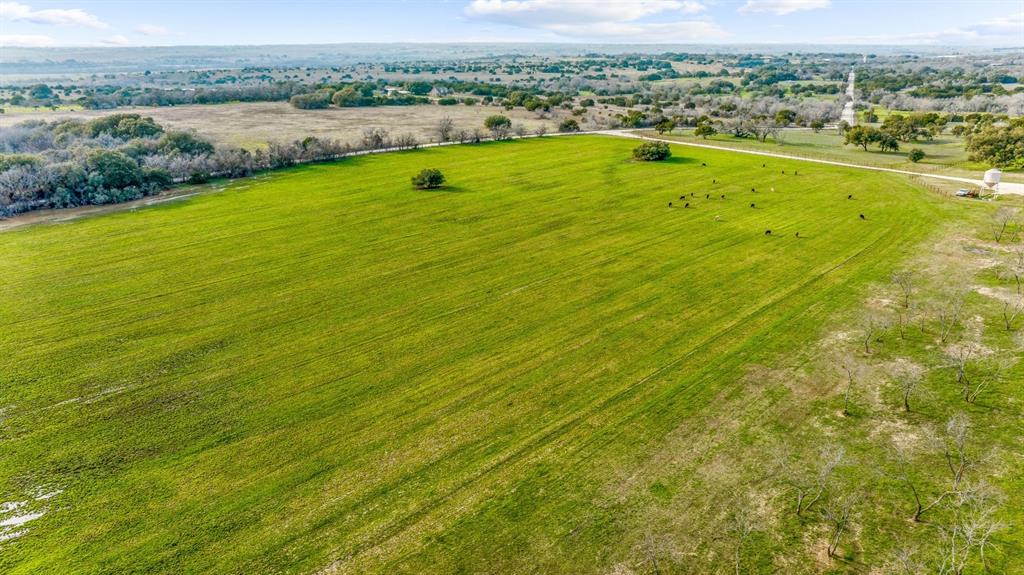 DISNEY RICHARD - Farm