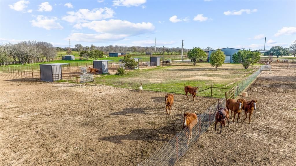 DISNEY RICHARD - Farm