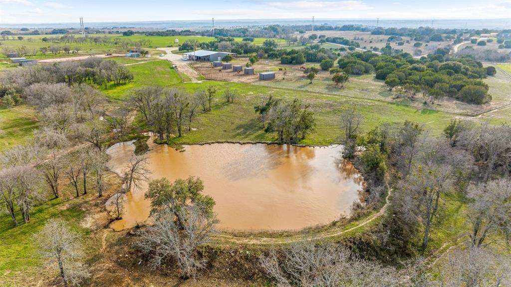 DISNEY RICHARD - Farm