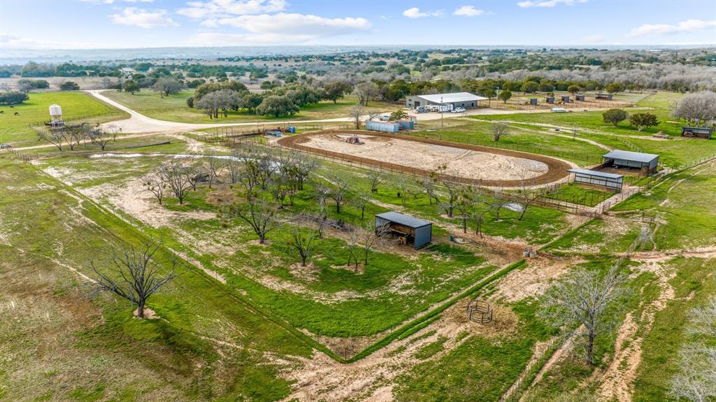 DISNEY RICHARD - Farm