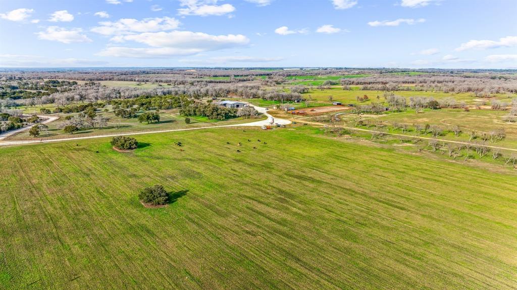 DISNEY RICHARD - Farm