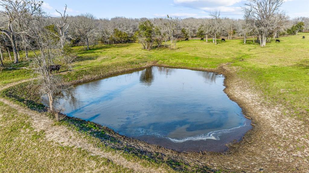 DISNEY RICHARD - Farm