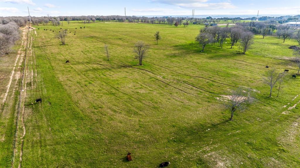 DISNEY RICHARD - Farm