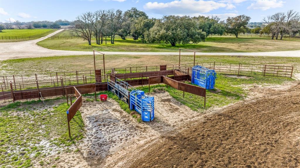 DISNEY RICHARD - Farm