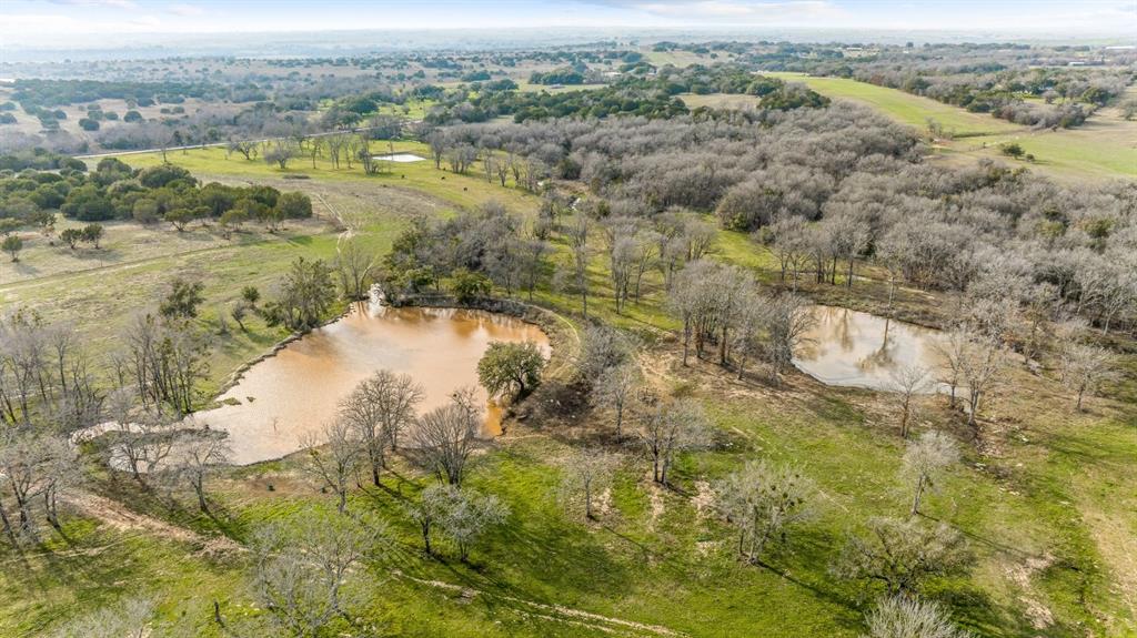 DISNEY RICHARD - Farm