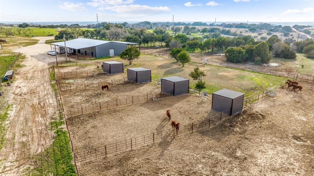 DISNEY RICHARD - Farm