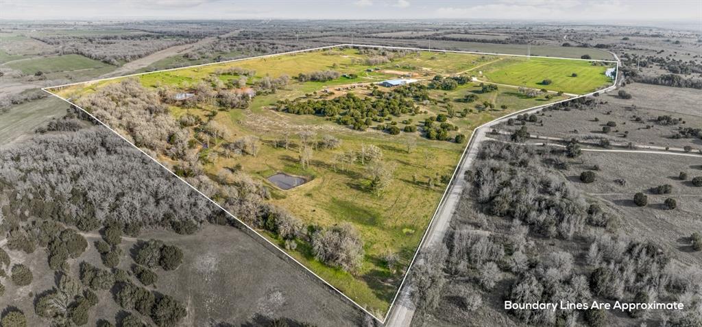 DISNEY RICHARD - Farm