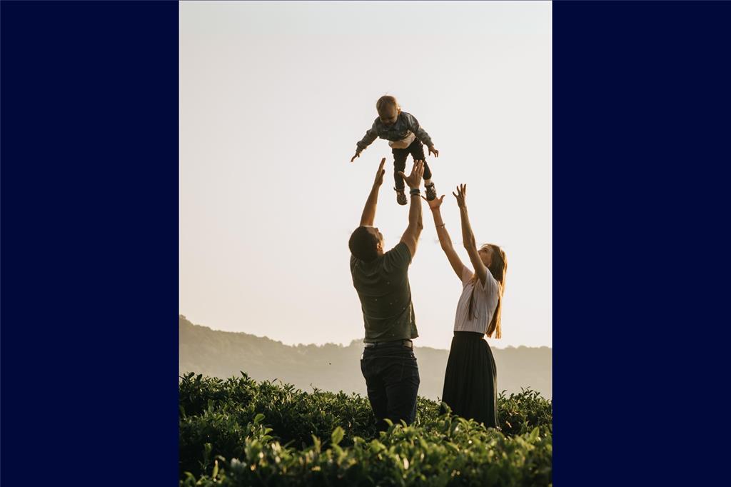 Knights Landing - Land