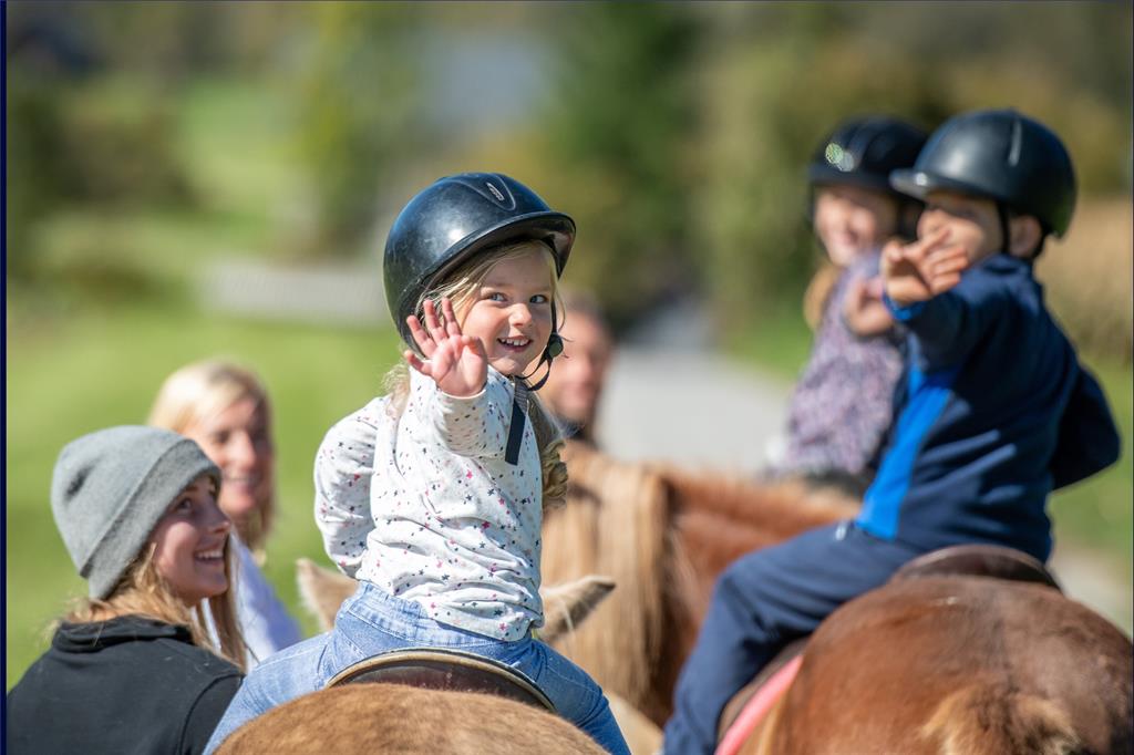 Knights Landing - Land