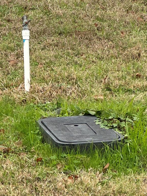 A Varela-Shiloh - Land