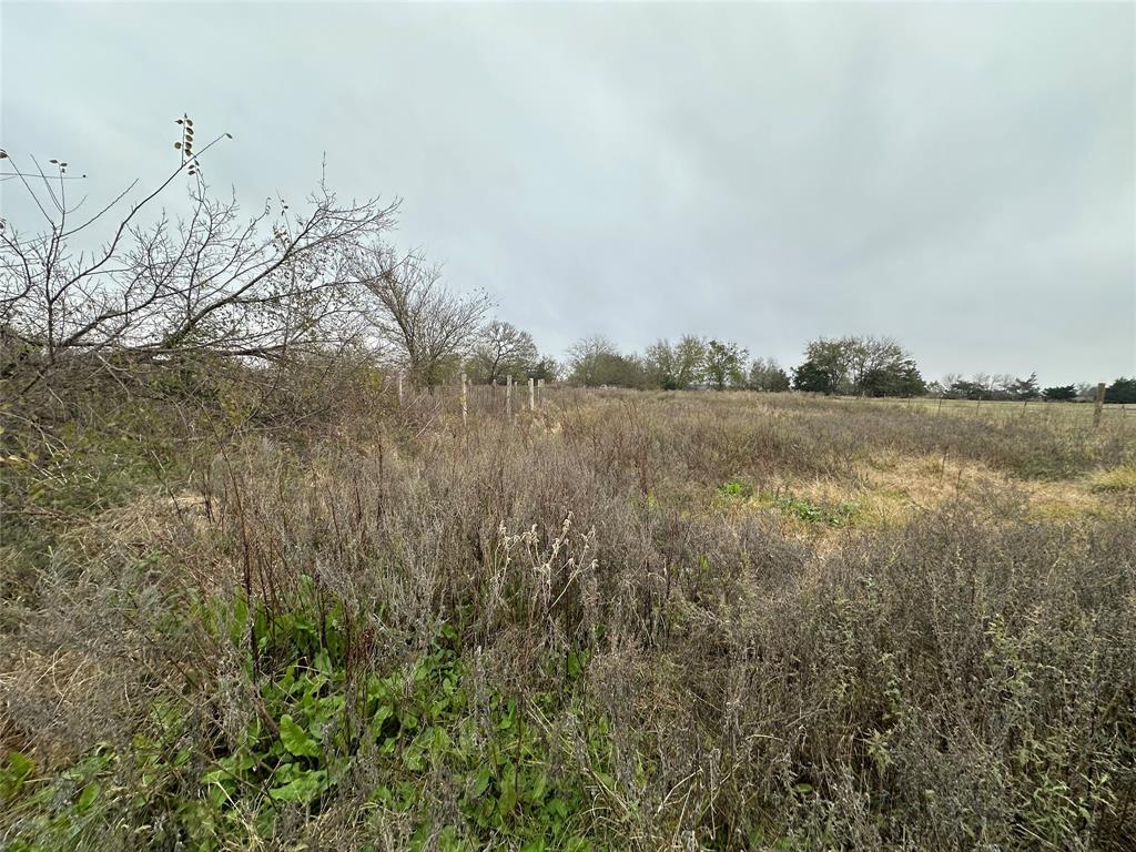 A Varela-Shiloh - Land