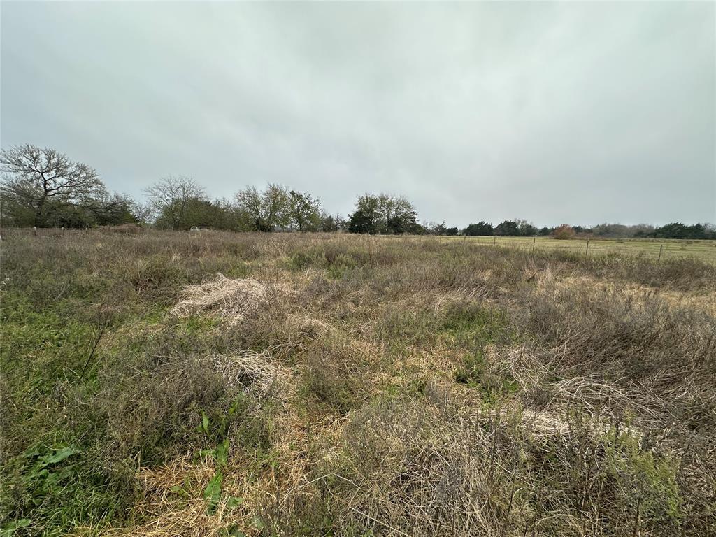 A Varela-Shiloh - Land