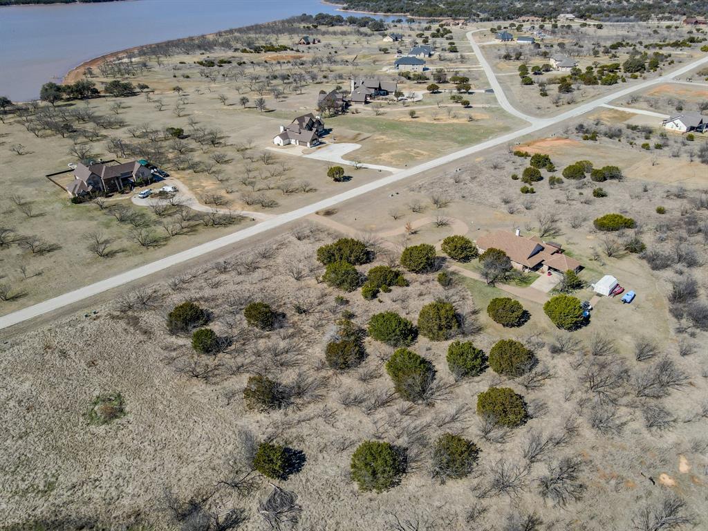 Lot 1029 Cinnamon Teal