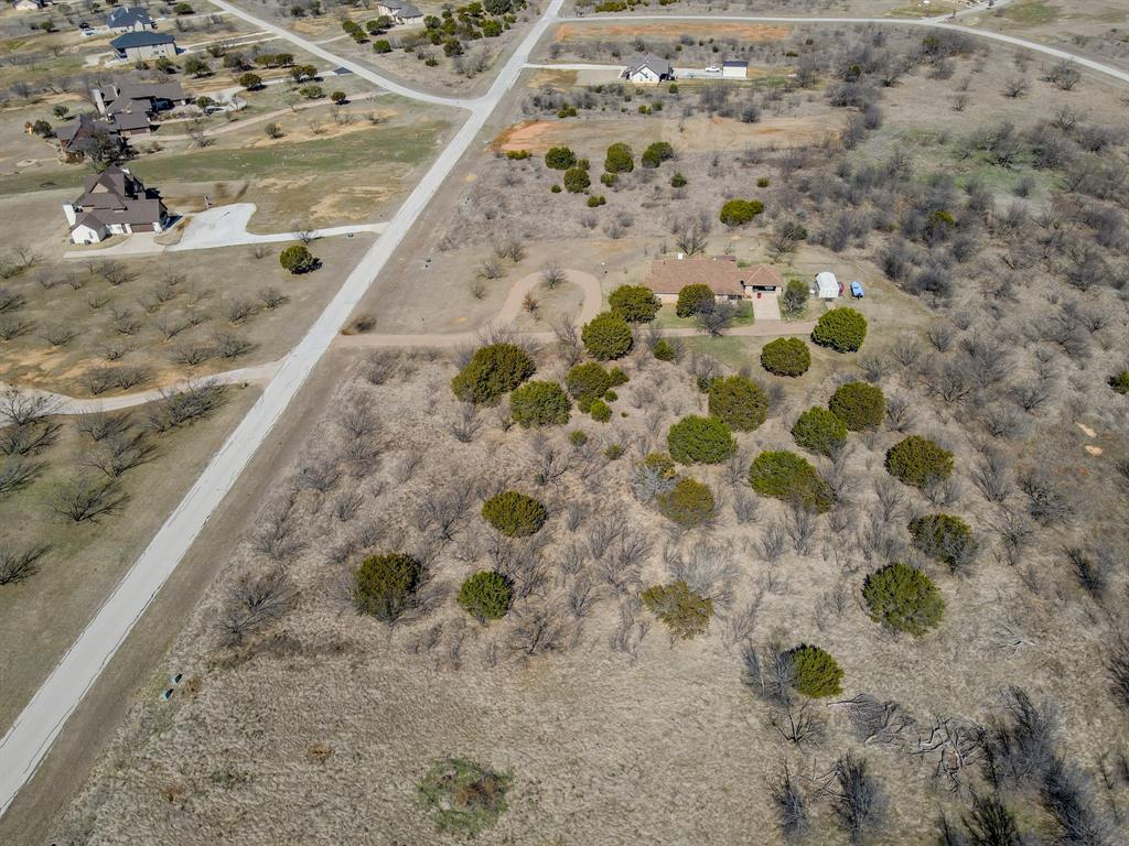 Lot 1029 Cinnamon Teal