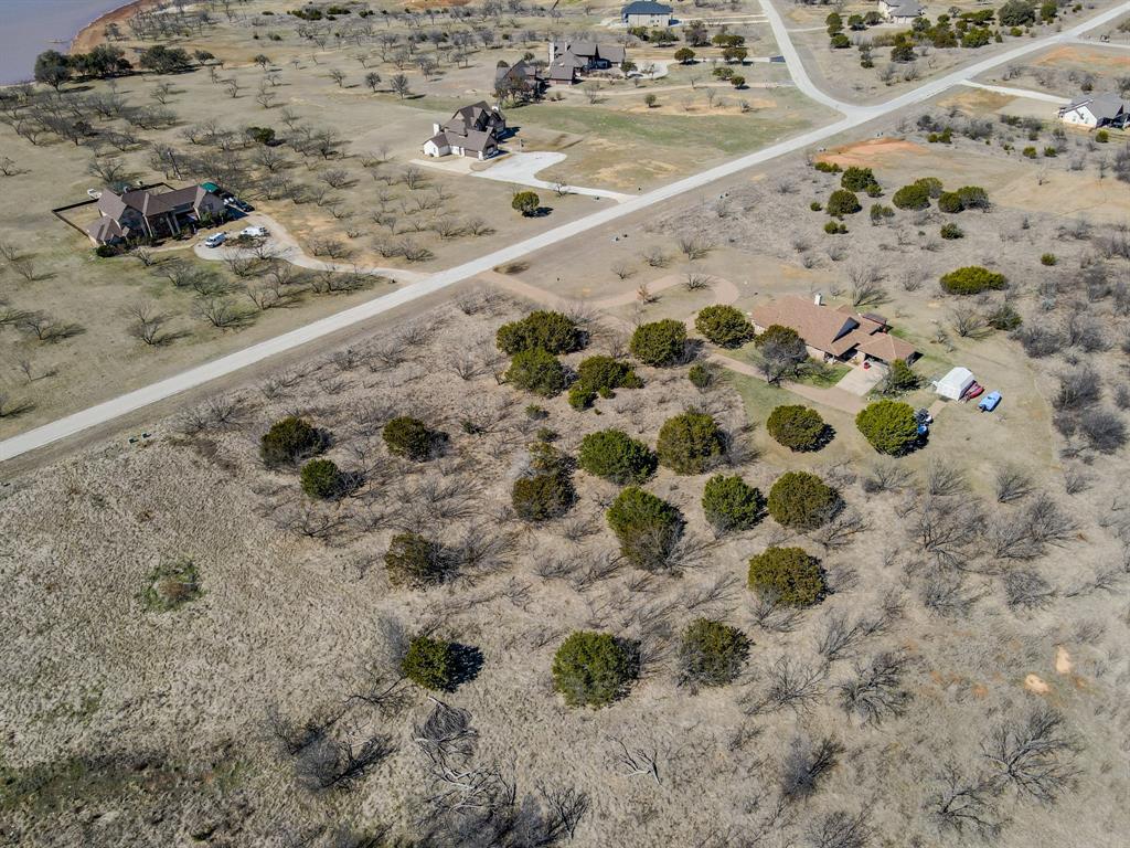 Lot 1029 Cinnamon Teal