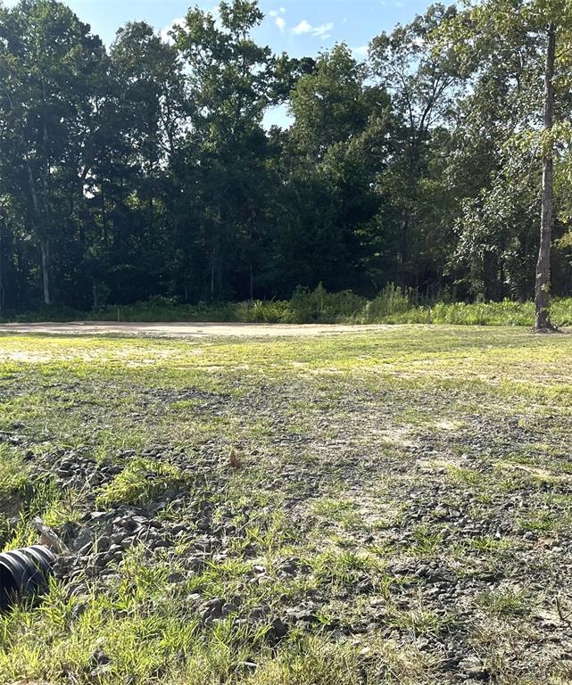 Merry Oaks Plantation #2 - Land