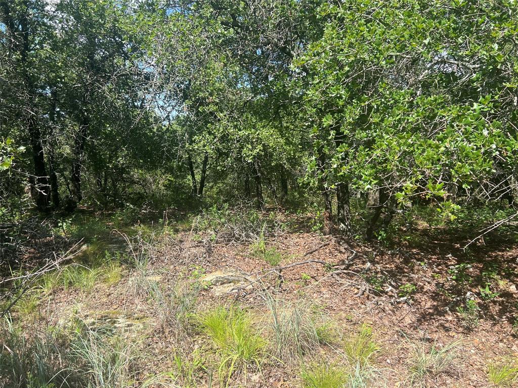 Silver Lakes Ranch - Land