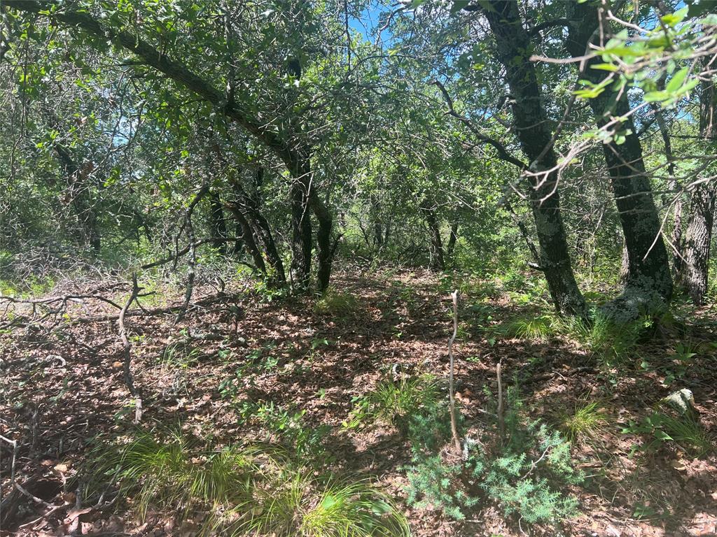 Silver Lakes Ranch - Land