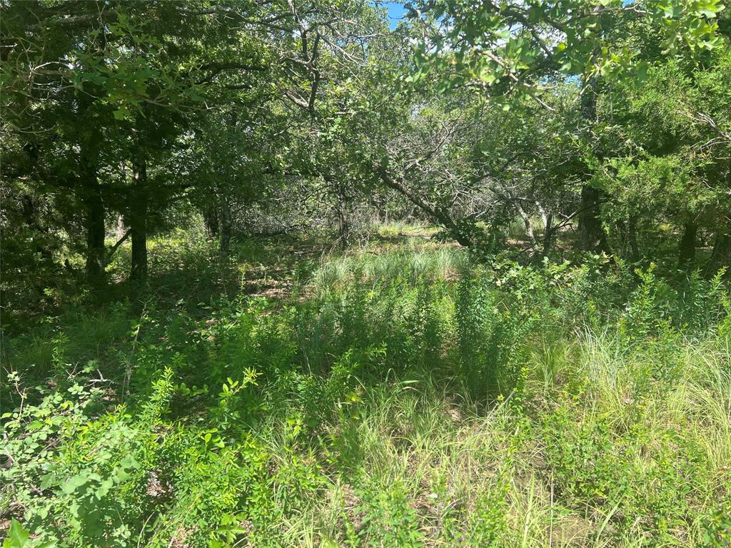 Silver Lakes Ranch - Land