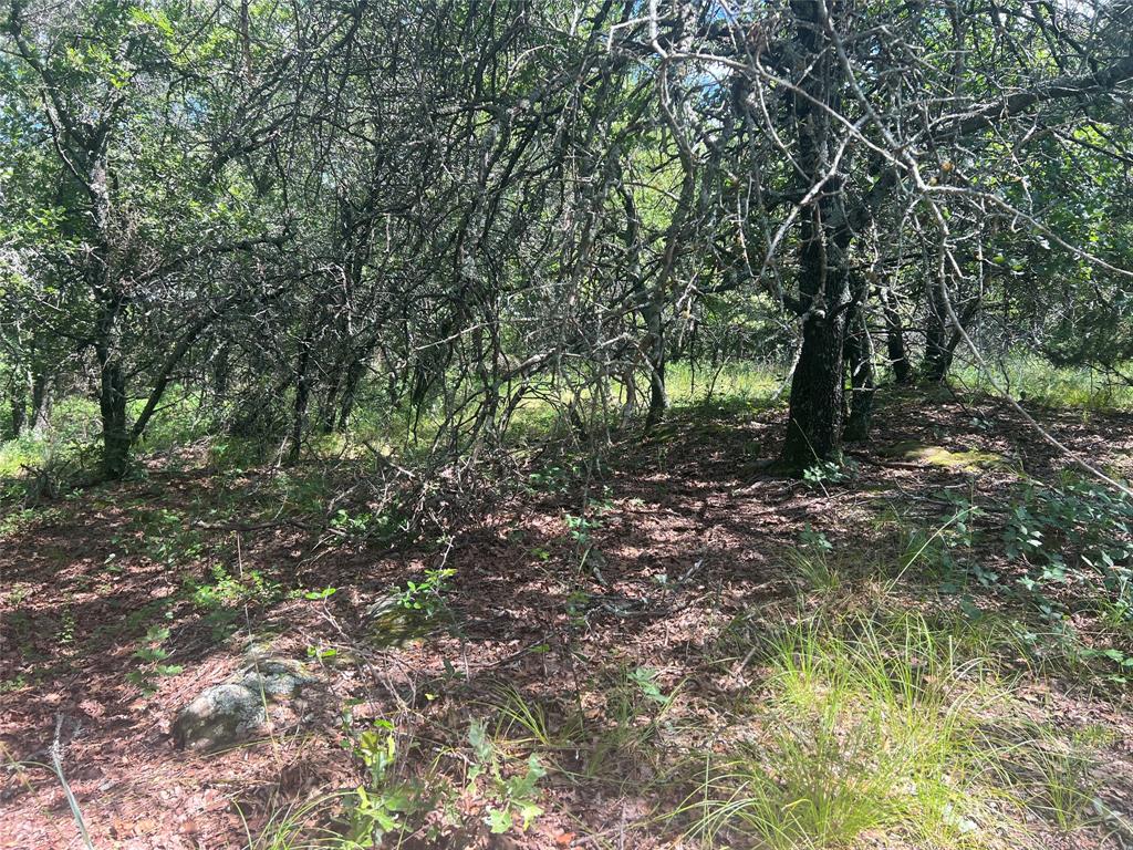 Silver Lakes Ranch - Land