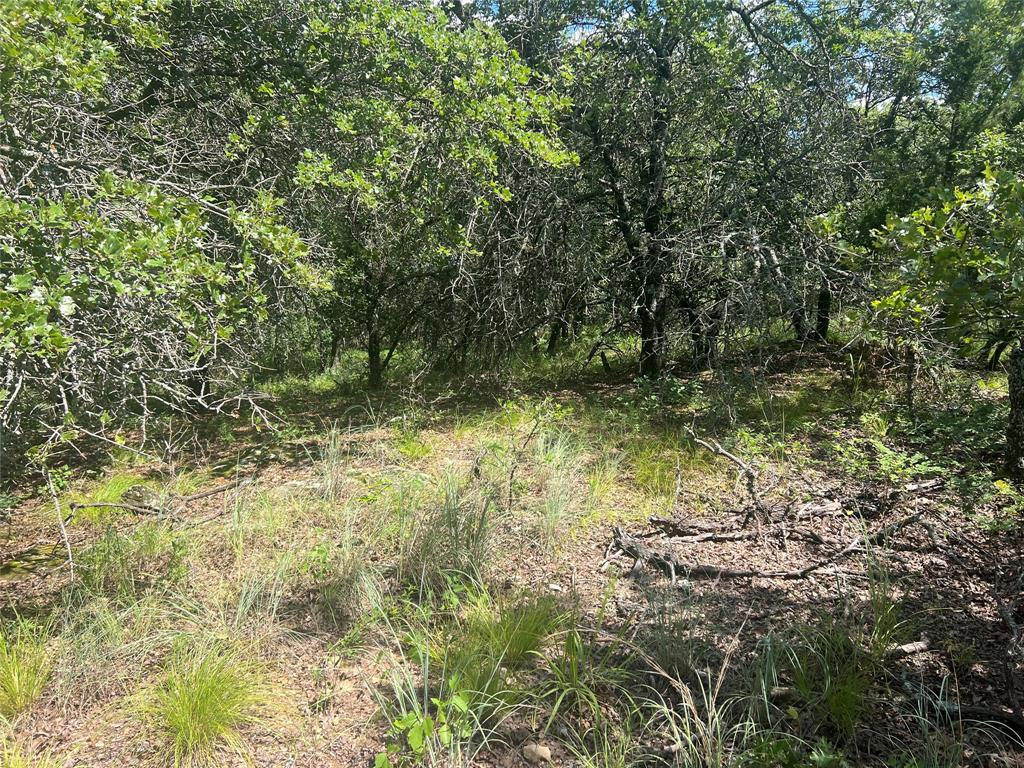 Silver Lakes Ranch - Land