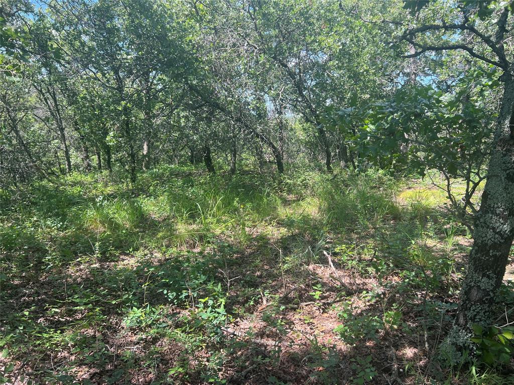 Silver Lakes Ranch - Land