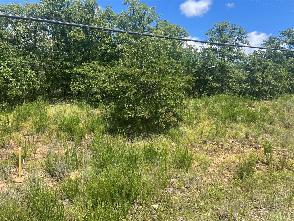 Silver Lakes Ranch - Land