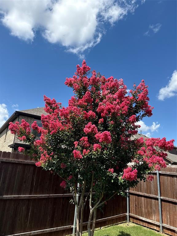 Morningstar - Residential